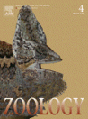Herrel, A., C.L. Redding, J.J. Meyers and K.C. Nishikawa (2014) The scaling of tongue projection in the veiled chameleon, Chamaeleo calyptratus. Zoology 117: 227-236